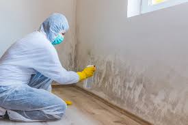 Mold Odor Removal Services in Spencerville, MD