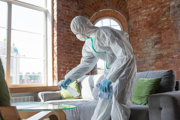 Professional Mold Removal & Remediation in Spencerville, MD